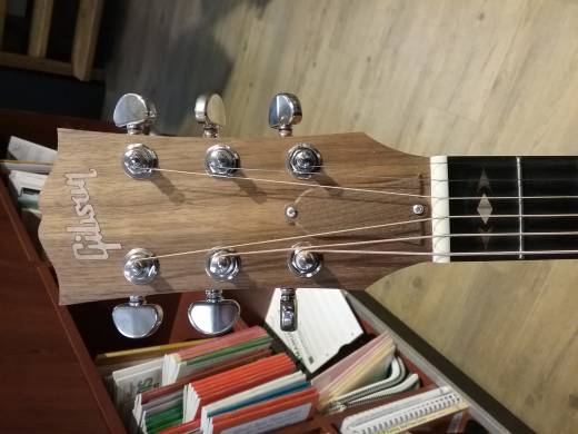 Gibson - AC4519SUNH 3